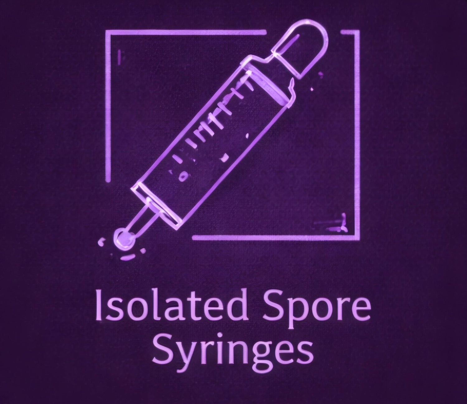 Isolated Spore Syringes