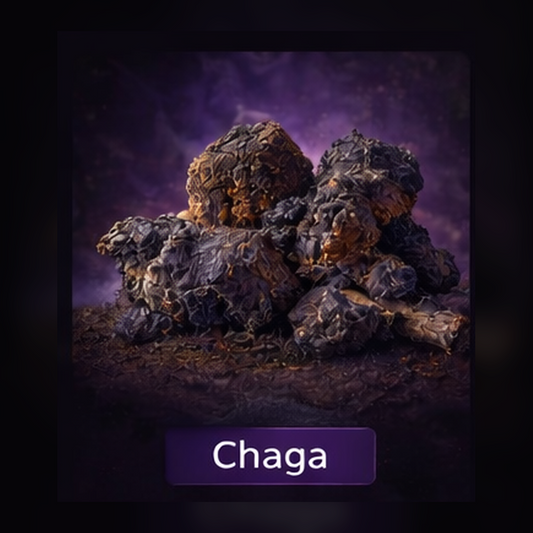 Chaga Liquid Culture Syringe