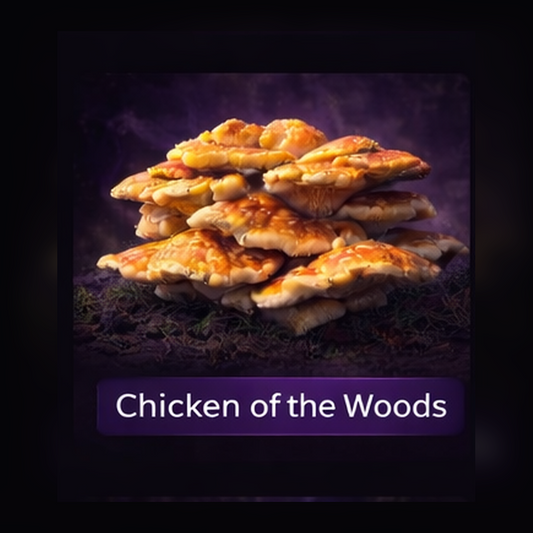Chicken Of The Woods Liquid Culture Syringe