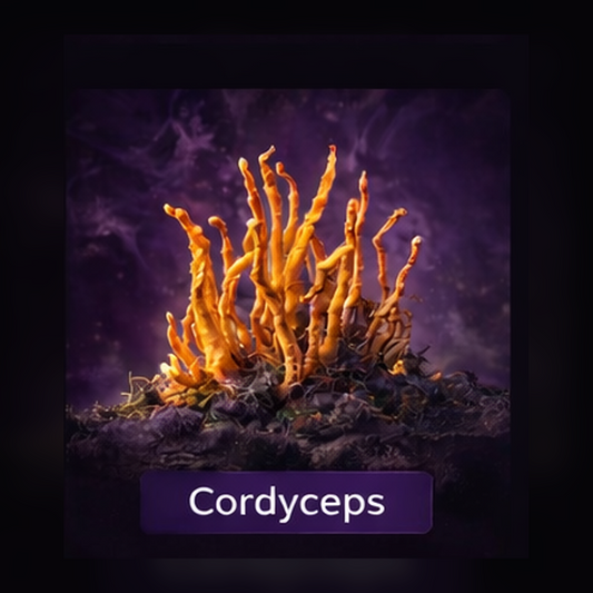Cordyceps Liquid Culture Syringe