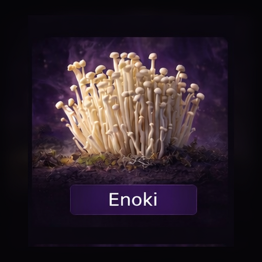 Enoki Liquid Culture Syringe