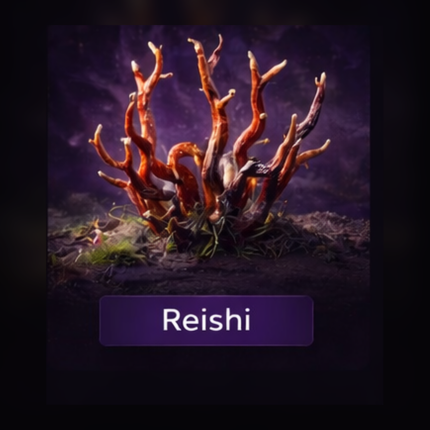 Reishi Liquid Culture Syringe
