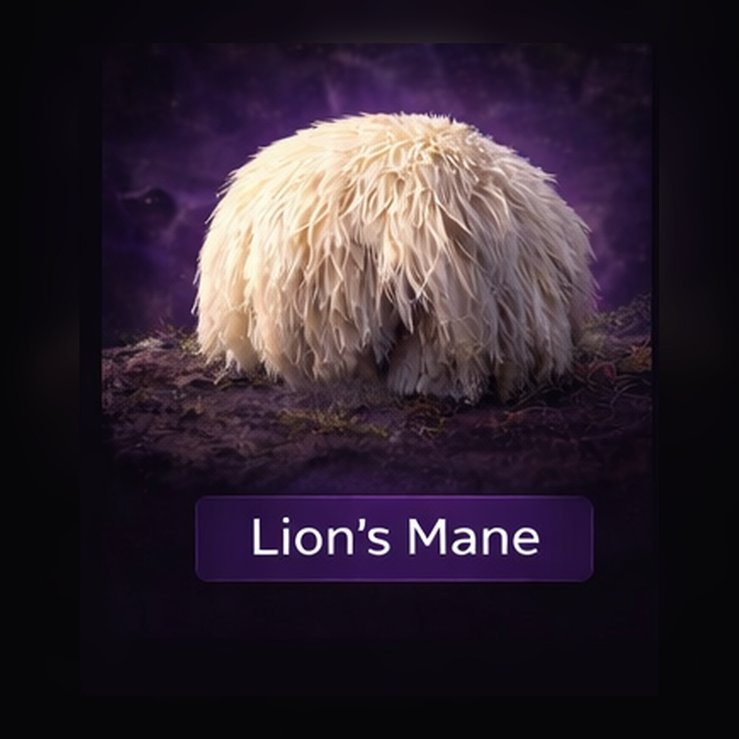 Lion's Mane Liquid Culture Syringe