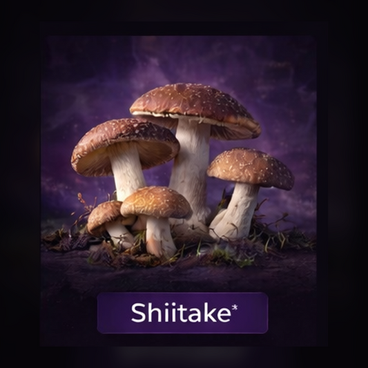 Shiitake Liquid Culture Syringe