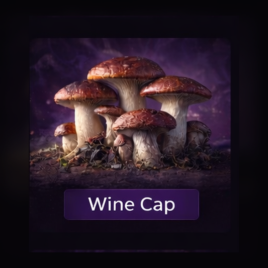 Wine Cap Liquid Culture Syringe